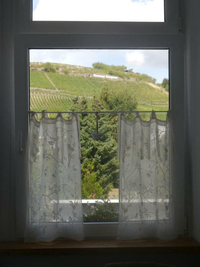 维宁根Altes Weingut Weinhaus Rebstock公寓 外观 照片